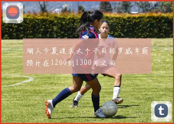 湖人今夏追求大个子目标罗威年薪预计在1200到1300万之间