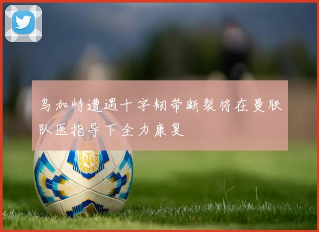 乌加特遭遇十字韧带断裂将在曼联队医指导下全力康复
